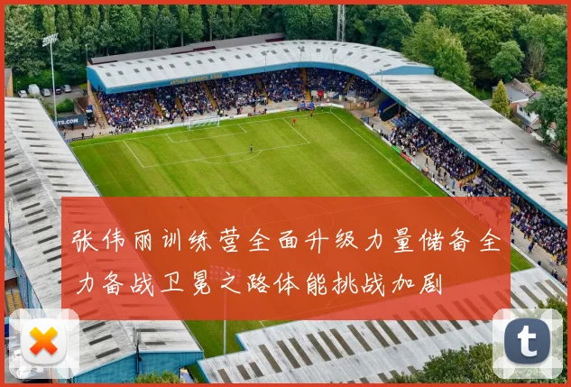 张伟丽训练营全面升级力量储备全力备战卫冕之路体能挑战加剧